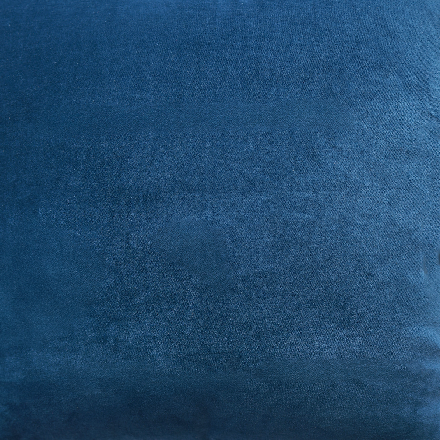 Asher Velvet Cushion